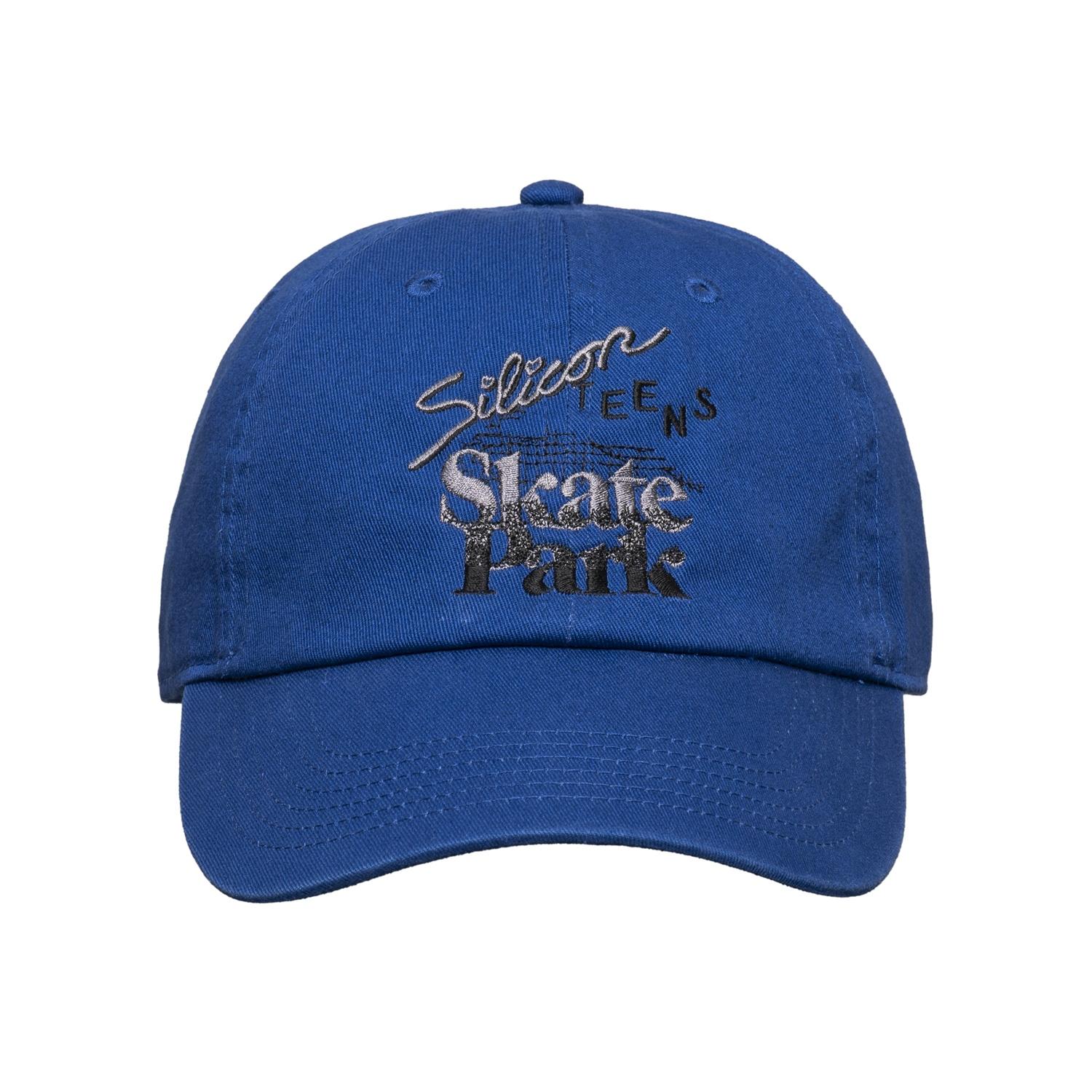  loosejoints SHUHEI ABE SILICON TEENS SKATE PARK BASEBALL CAP画像1