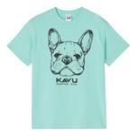 セラドン