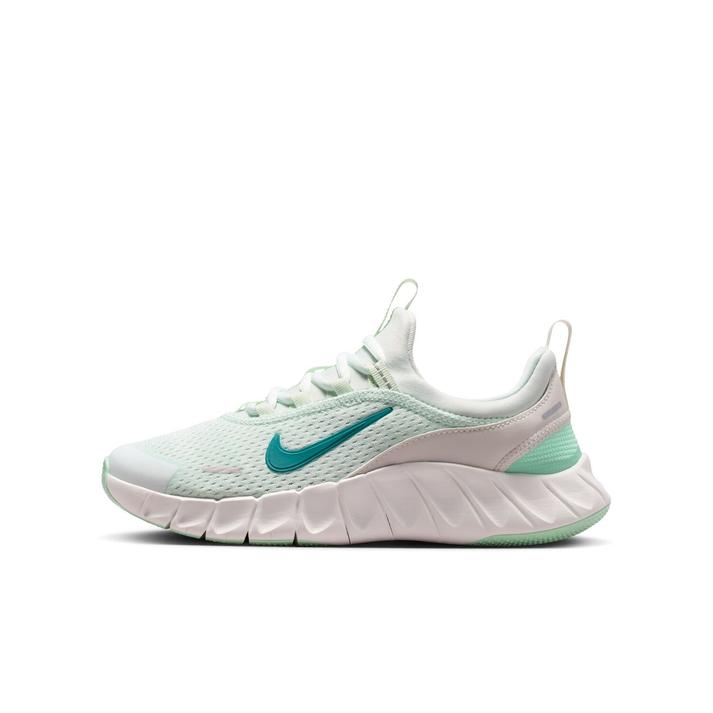NIKE �t���[ ���C�h GS 300BRLYGR/BRTSP