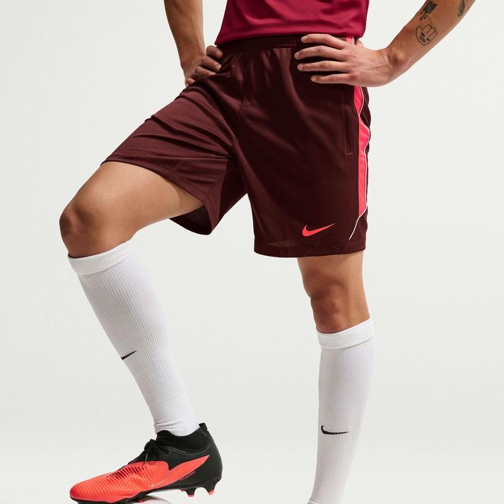 NIKE �V���[�g�p���c 677MYSDTS/BRTCR