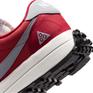  NIKE NIKE ACG LDV画像8