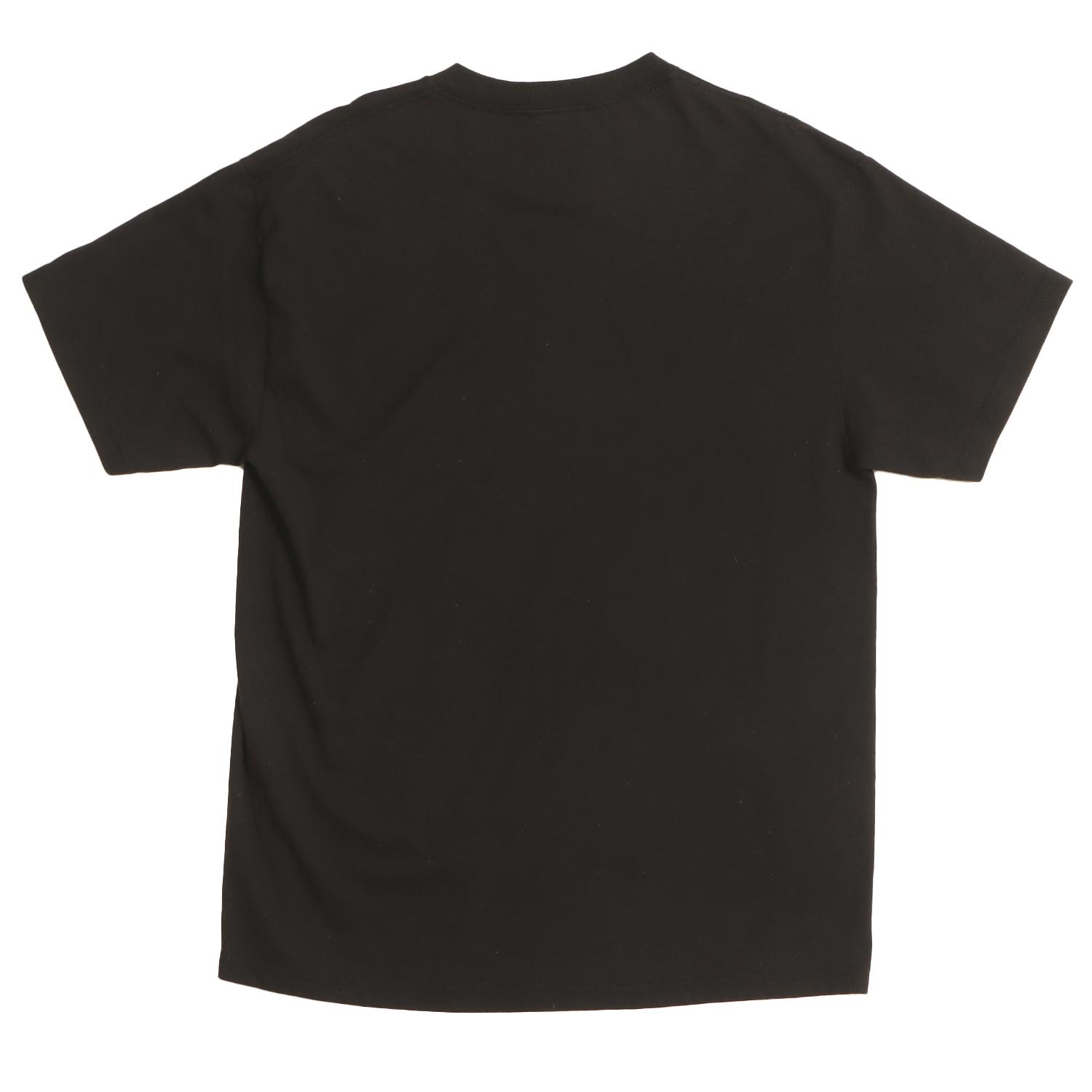  VARIEGATOR ANDY DAVIS/TEE画像3