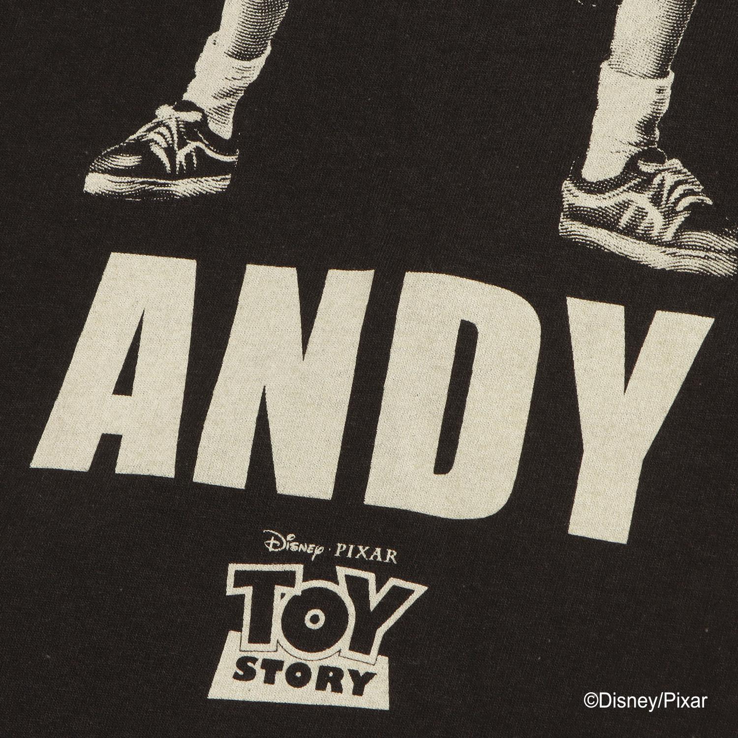  VARIEGATOR ANDY DAVIS/TEE画像5