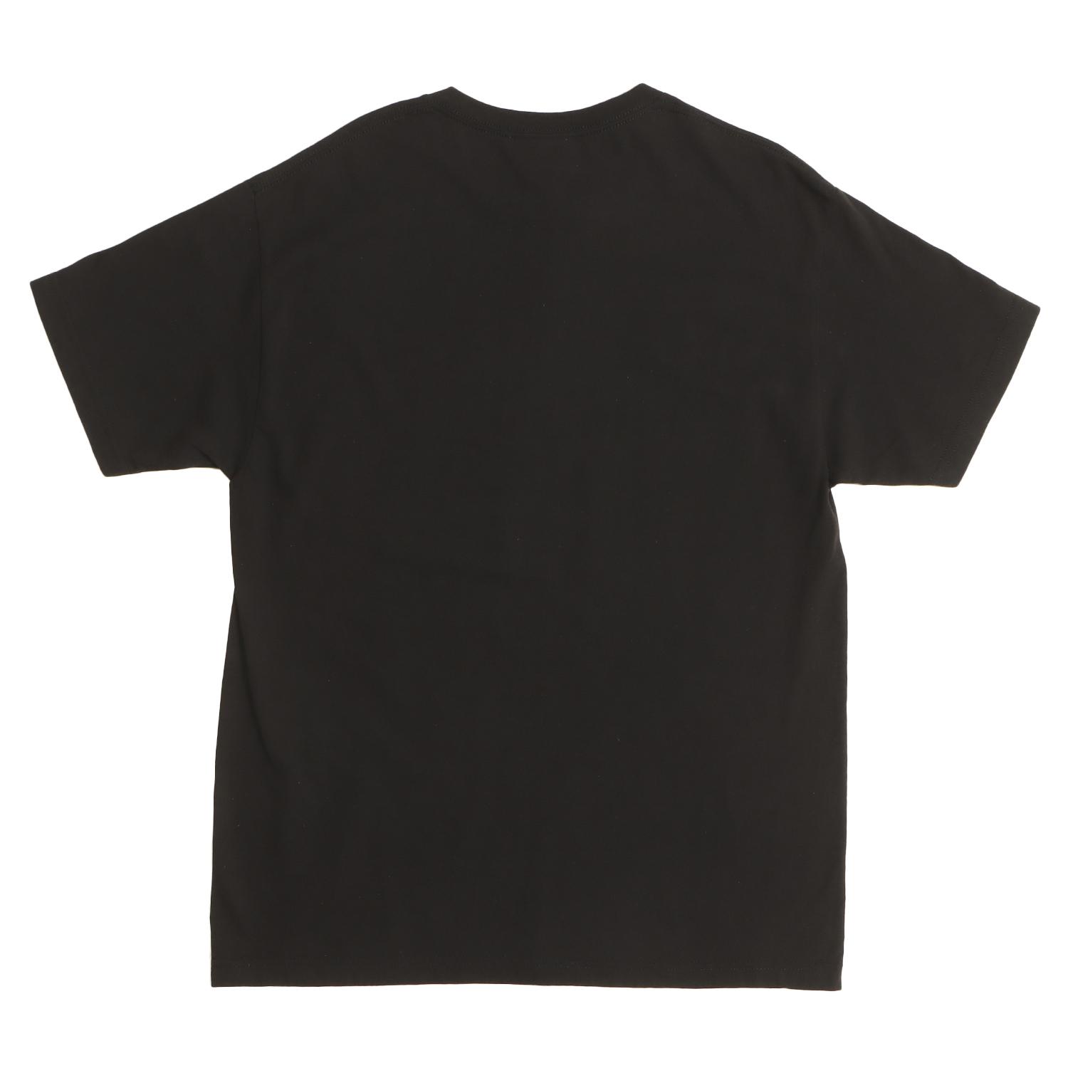  VARIEGATOR ANDY DAVIS HOME VIDEO/TEE画像3