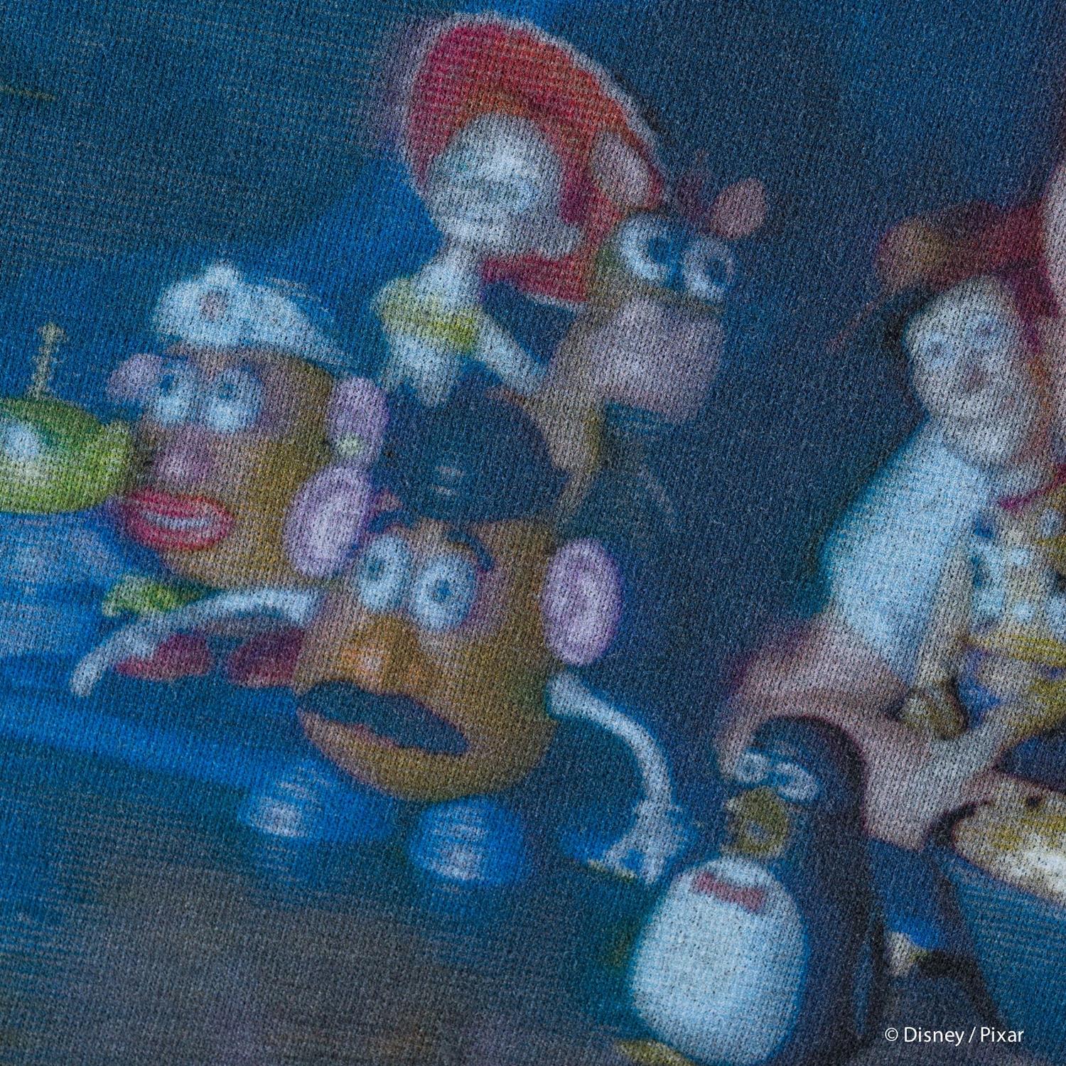  VARIEGATOR ANDY DAVIS HOME VIDEO/TEE画像5