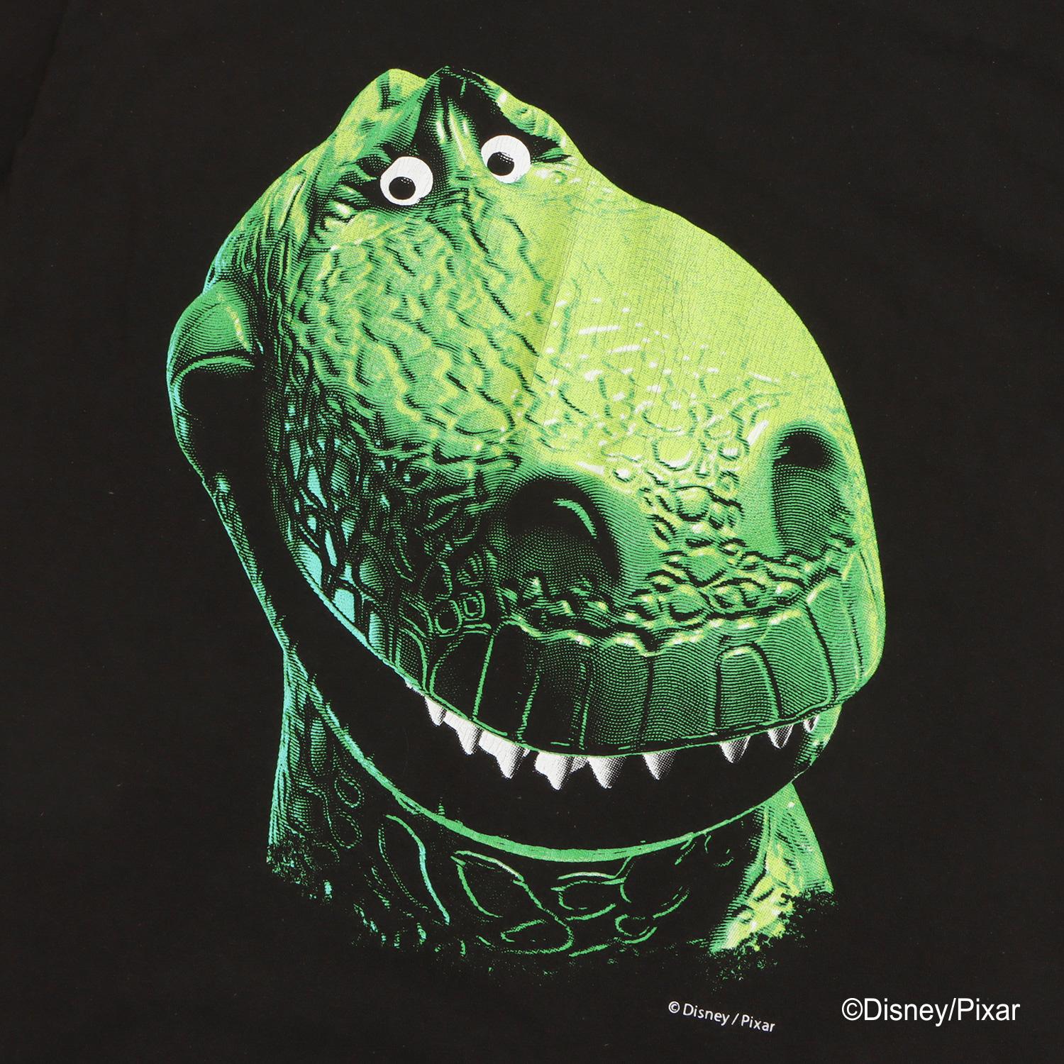  VARIEGATOR REX/TEE画像4