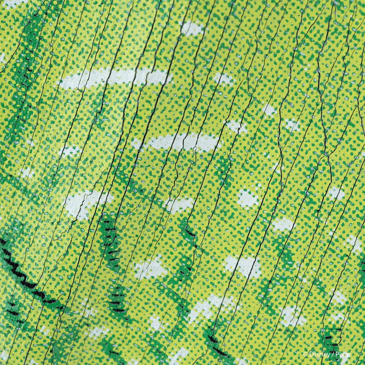  VARIEGATOR REX/TEE画像7