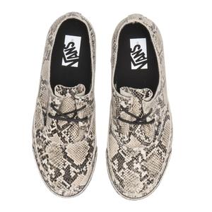 PYTHON TURTLEDOVE