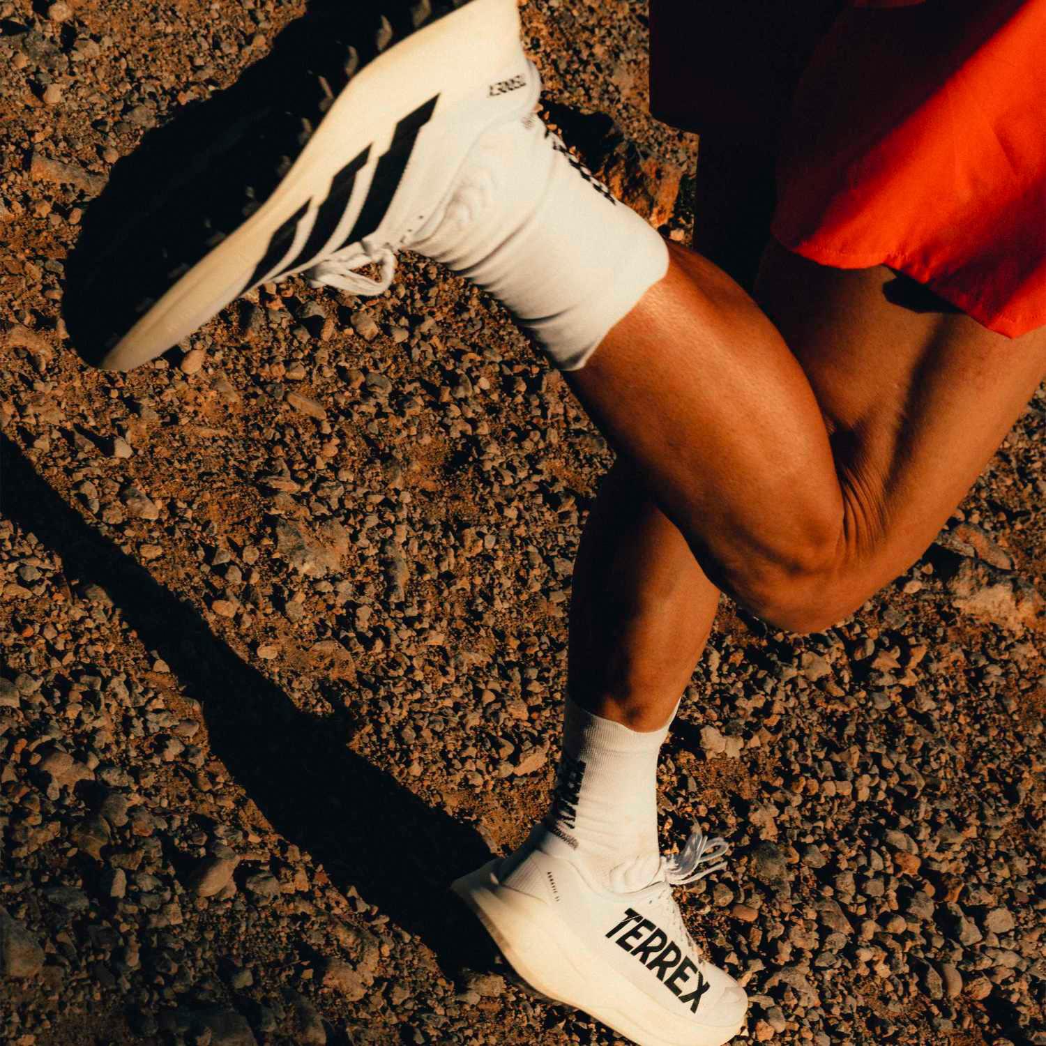 adidas ADIDAS Terrex Agravic SL｜OSHMAN'S ONLINE 公式通販