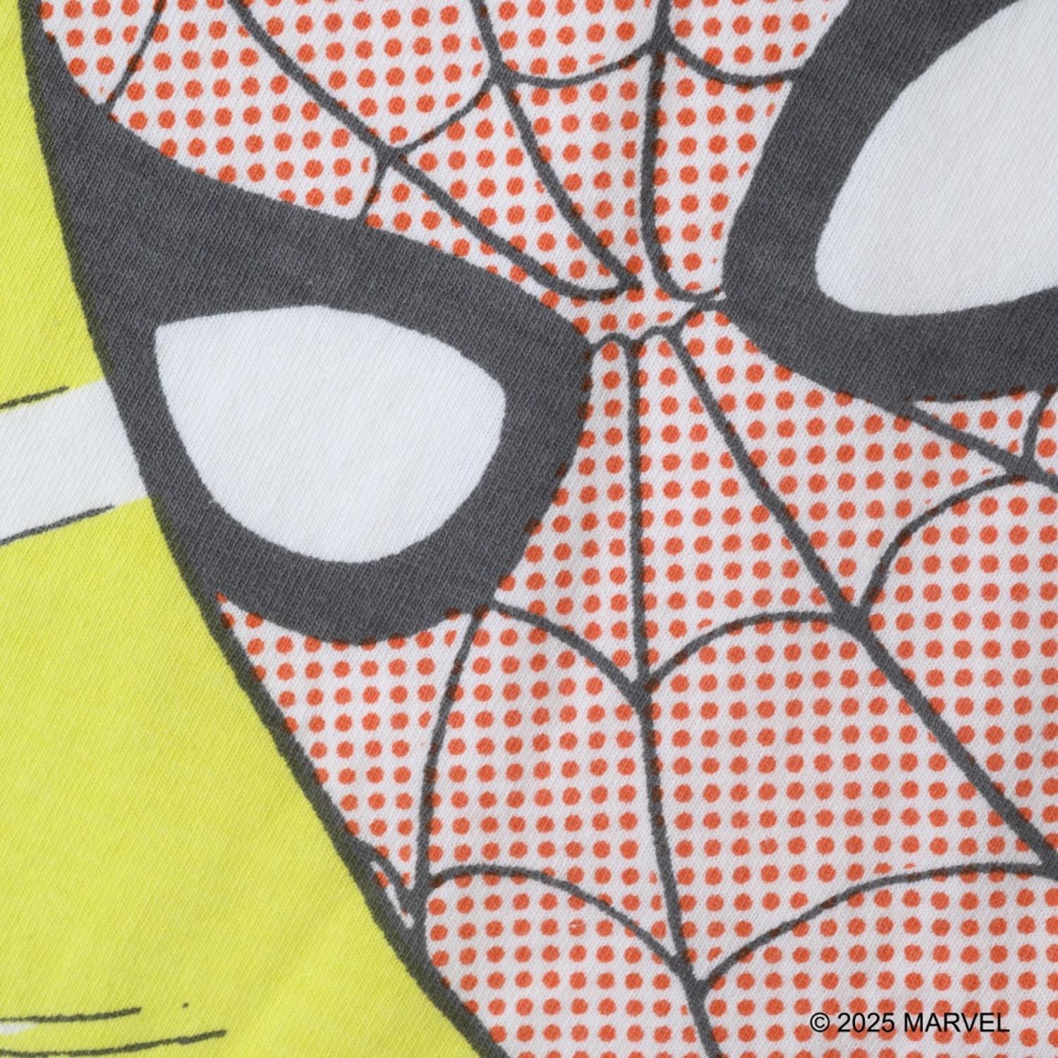  VARIEGATOR SPIDER-MAN画像3