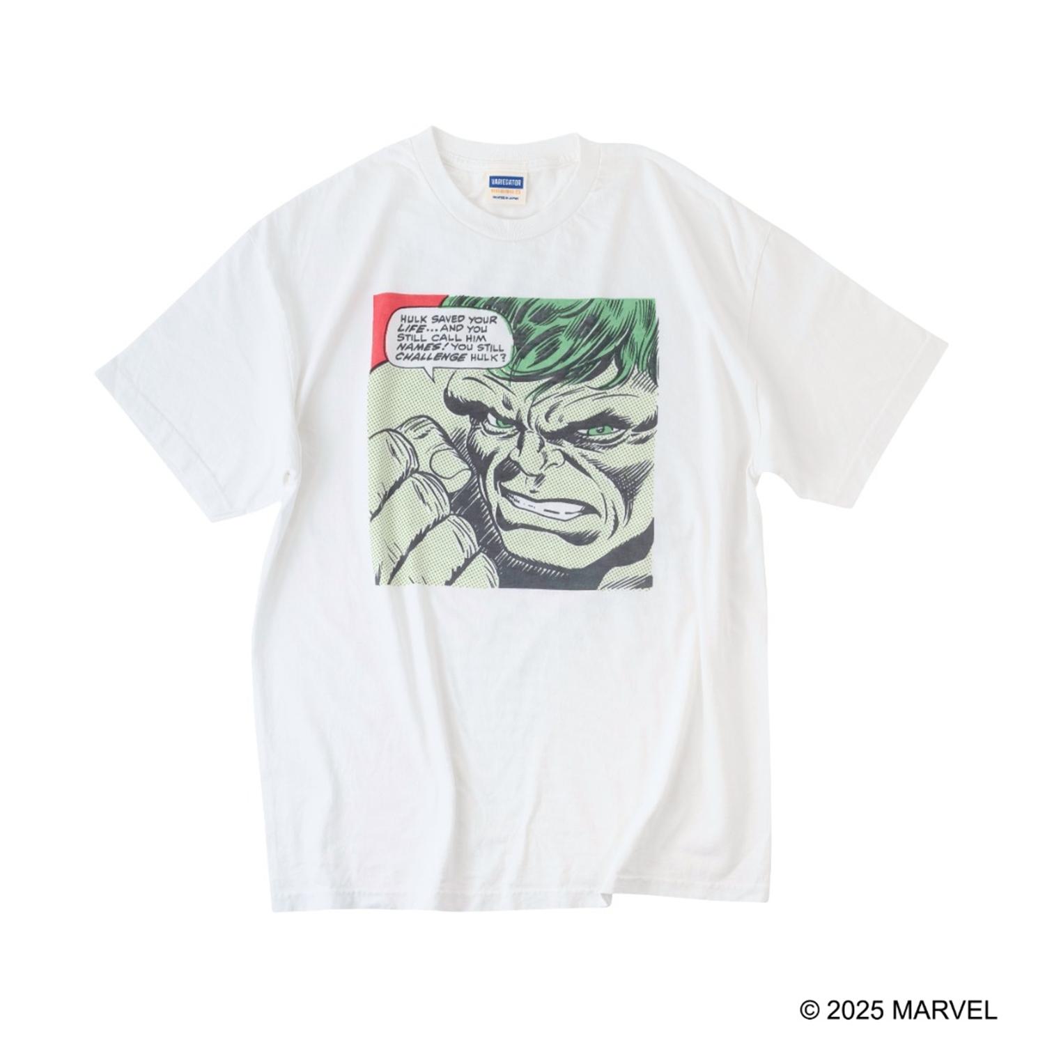  VARIEGATOR HULK画像1