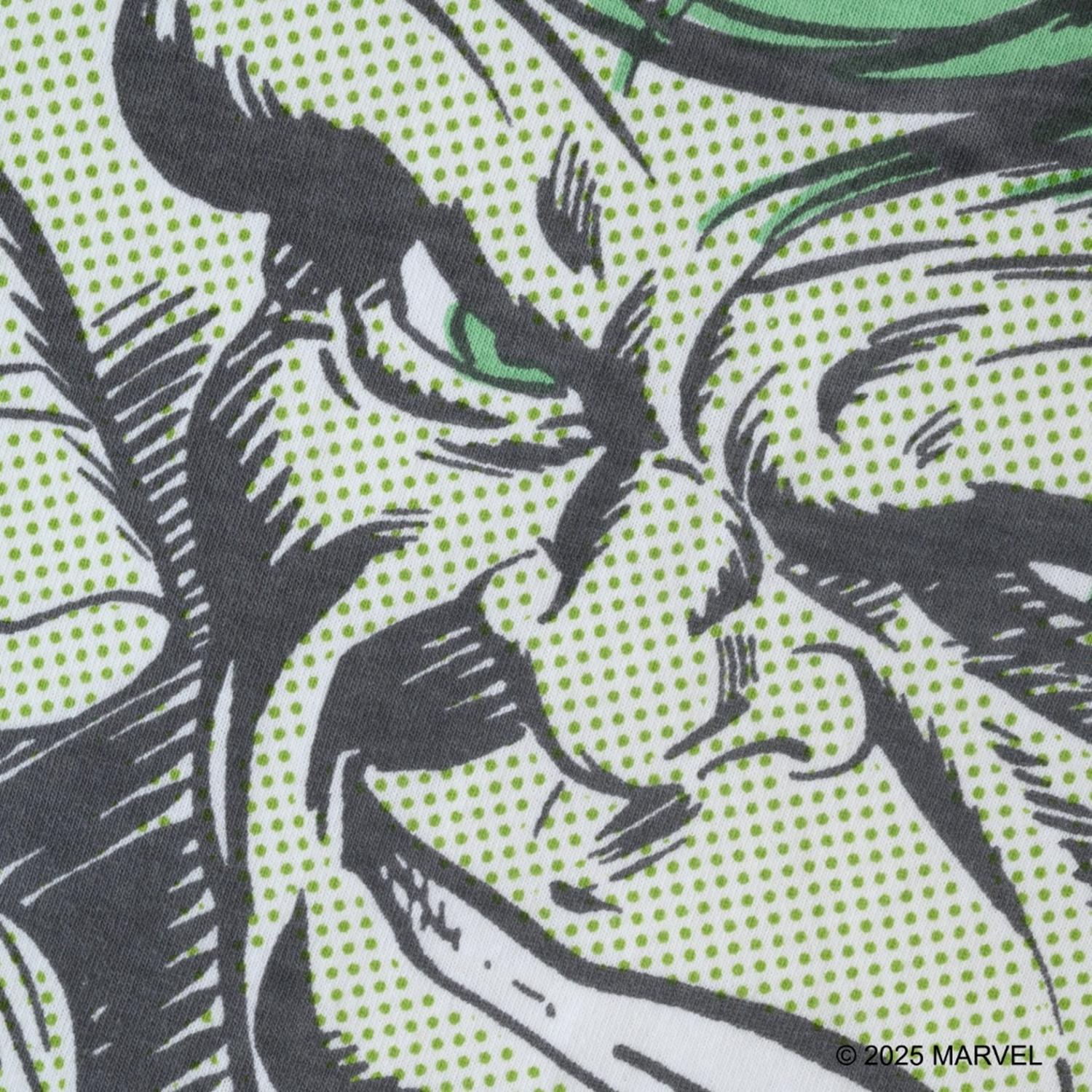  VARIEGATOR HULK画像3