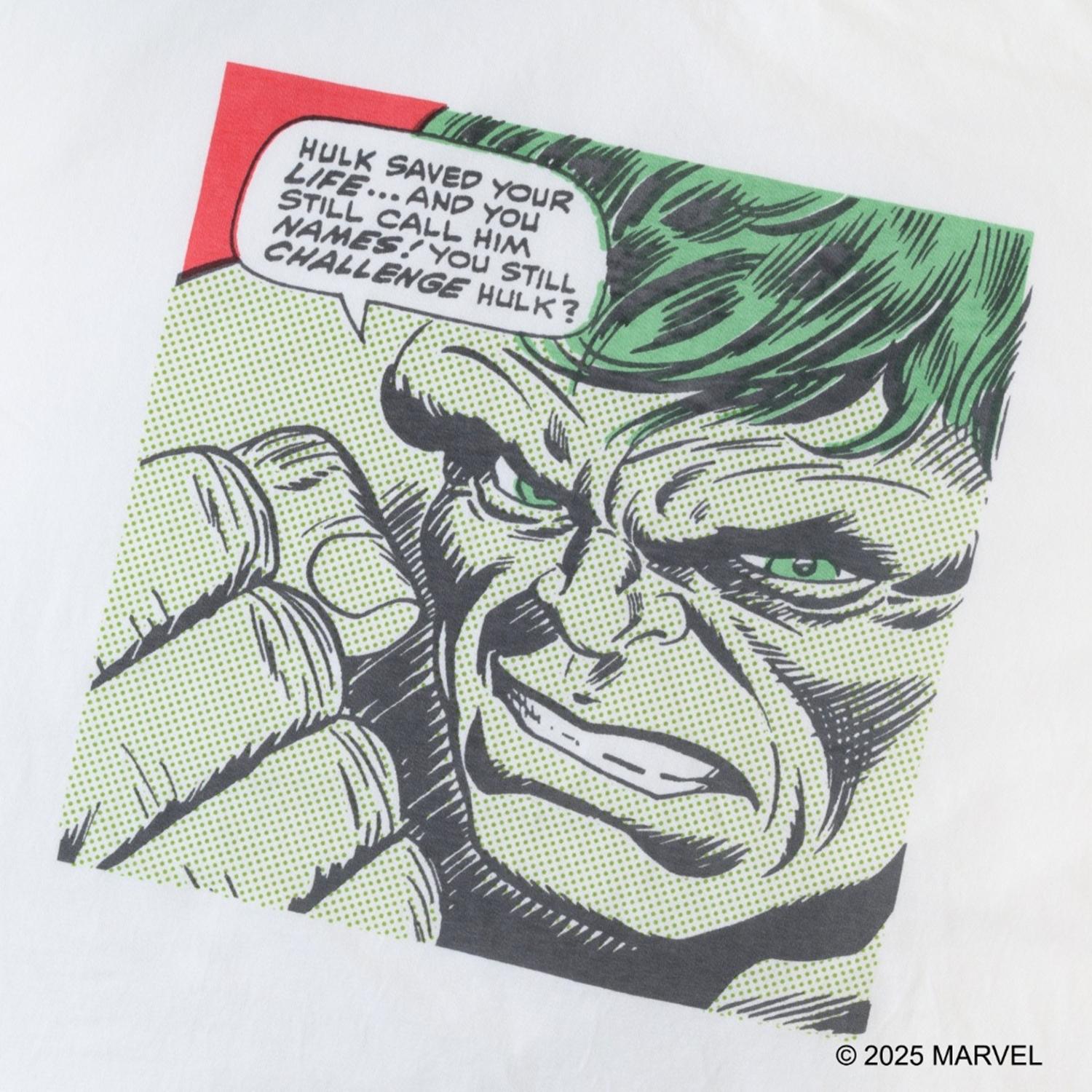  VARIEGATOR HULK画像2