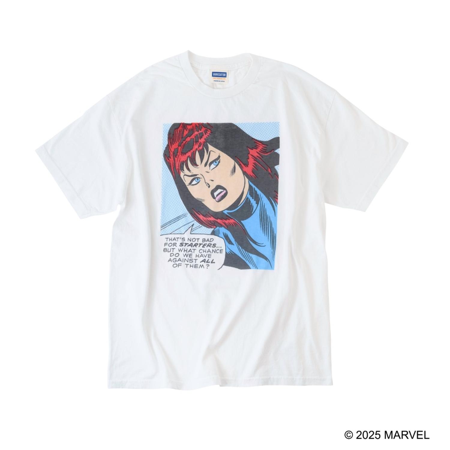 VARIEGATOR BLACK WIDOW画像1