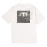  BODY GLOVE BODY GLOVE Body Glove Photo S/S T-Shirts OSHMAN'S SMU画像3