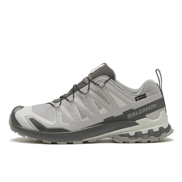 SALOMON XA PRO 3D V9 GTX Alloy/Castle