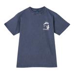 P.NAVY