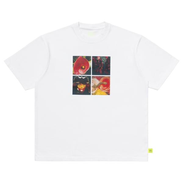 loosejoints 荒木経惟 x 野村佐紀子 テンダー フラワーズ S/S T ホワイト L