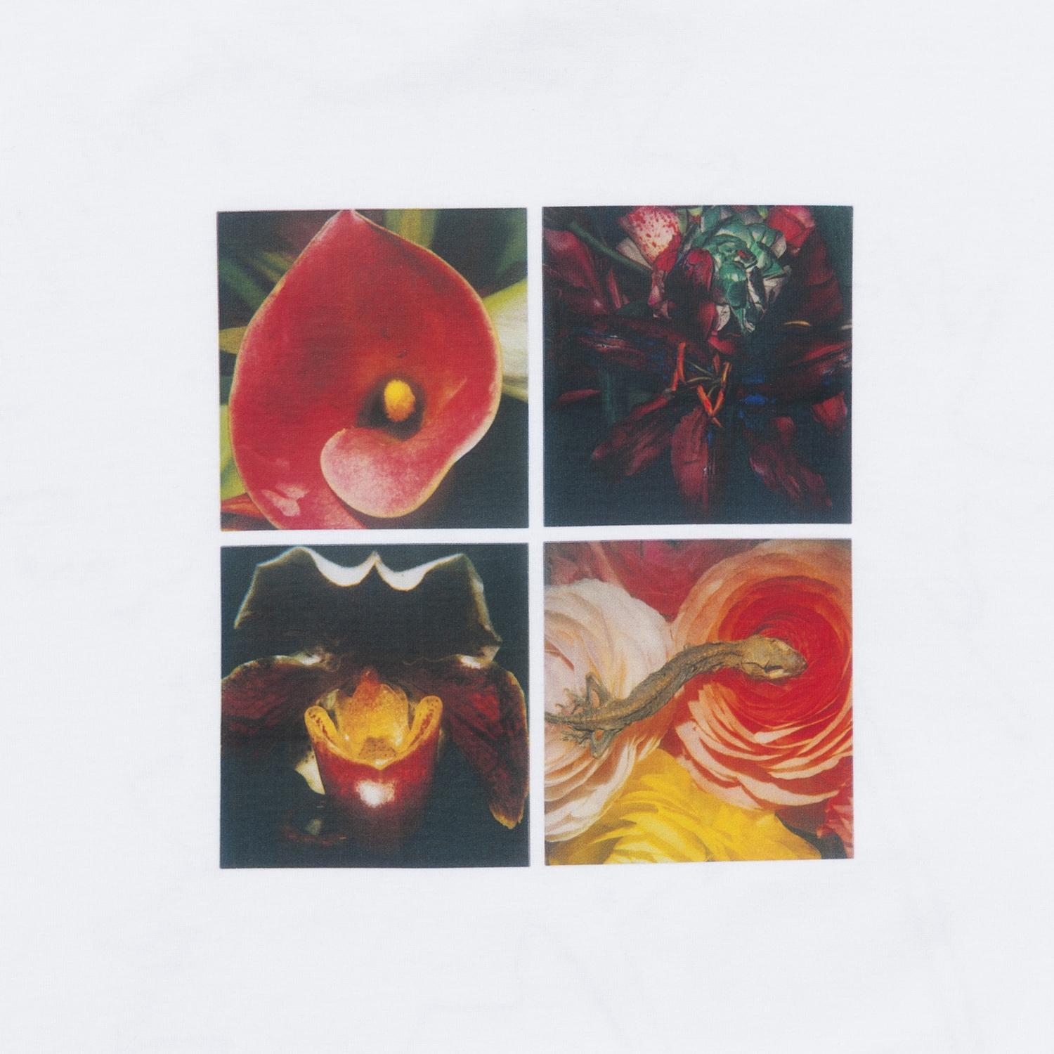  loosejoints NOBUYOSHI ARAKI x SAKIKO NOMURA TENDER FLOWERS L/S T画像2