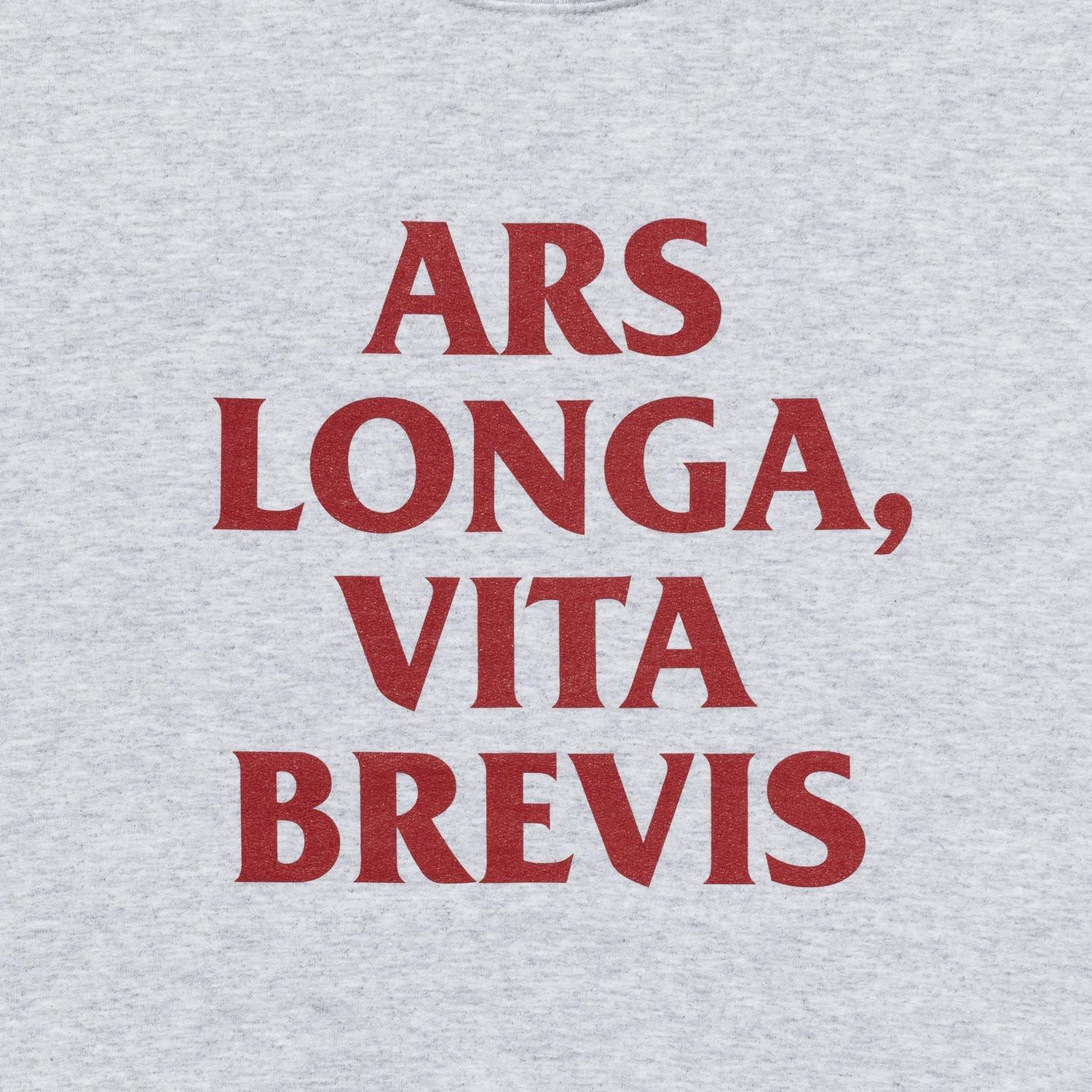  loosejoints KOSUKE SHONO ARS LONGA VITA BREVIS CREWNECK画像2