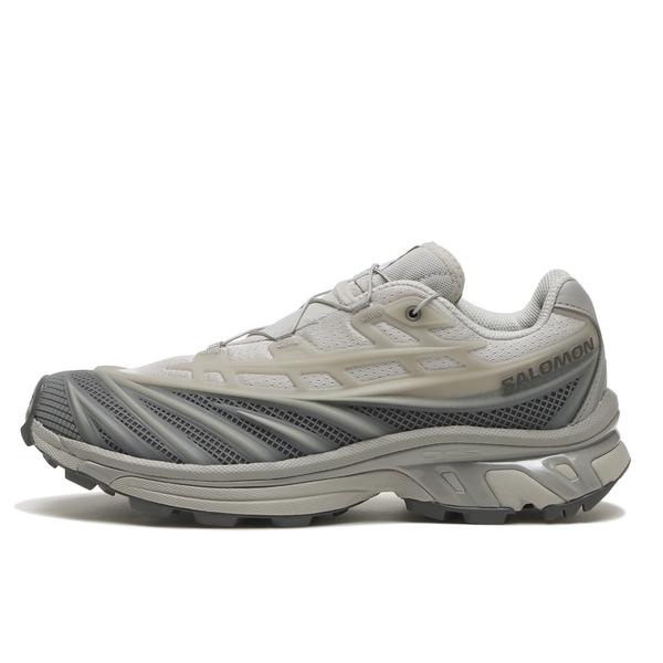 SALOMON XT-エヴォ シルバー 22.5cm