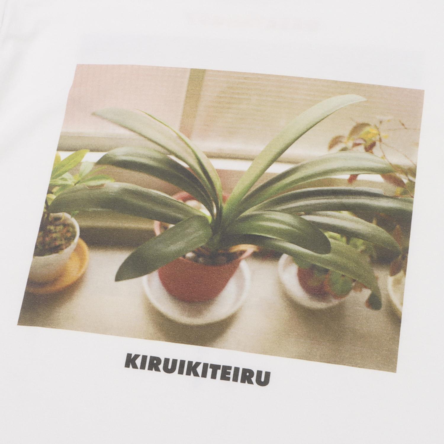  GASATANG KIRUIKITEIRU画像4