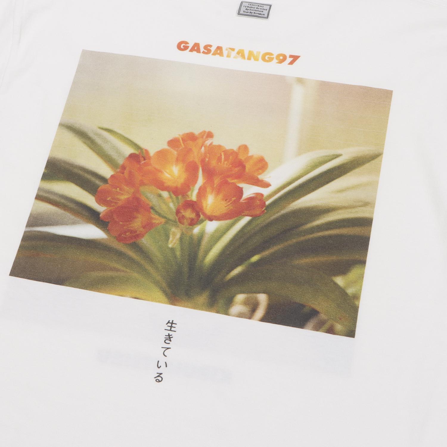  GASATANG KIRUIKITEIRU画像7