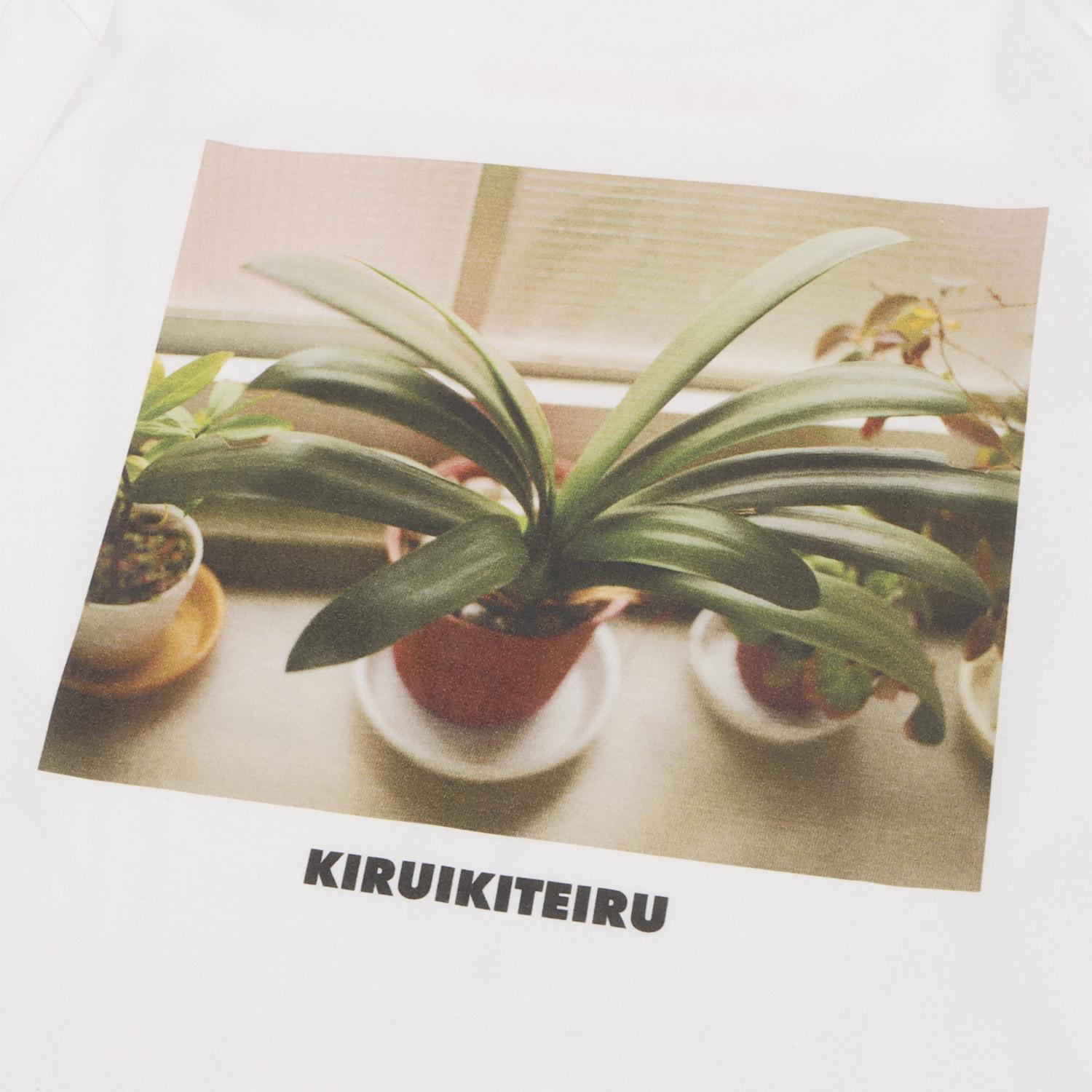  GASATANG KIRUIKITEIRU LONG画像4